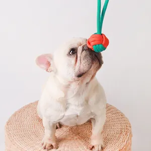 Jouet pour chien en corde tressée durable pour jeu interactif soins dentaires des animaux.