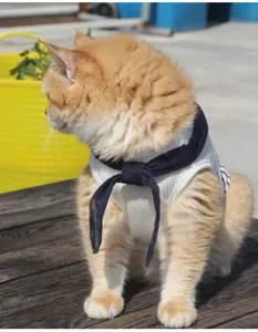 Pet sailor vest detail shot, elastic ribbed fabric with dark blue bow tie, cute cat fashion item.