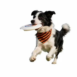 Pet bandana dog saliva bib neckwear accessory embroidered custom name four seasons cat