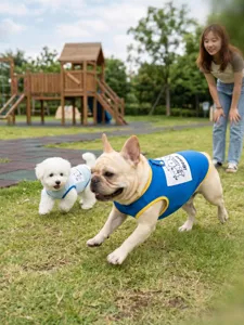 Summer breathable mesh dog vest, cute cartoon pet clothes for small and medium dogs.