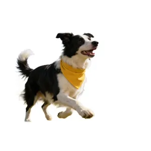 Dog bandana pet bib yellow solid color neckerchief cute puppy accessories for small medium dogs