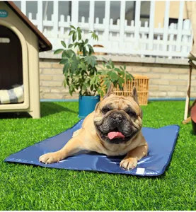 Wasserdichte Outdoor Haustier Kühlmatte für Hunde und Katzen, faltbares 3D Thermobett Sommer.