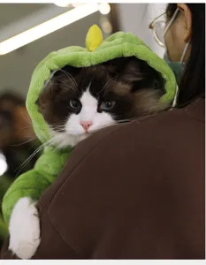 Flannel dinosaur pet pajamas, warm thick four-legged onesie for cats and dogs in autumn winter.