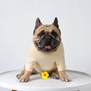 Cute French bulldog wearing a soft yellow and pink striped dog t-shirt for daily wear.