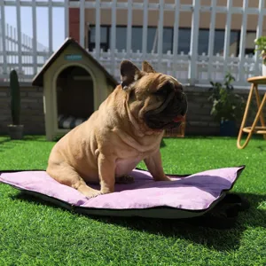 Tappetino Da Campeggio Portatile Pieghevole Per Animali Domestici Letto Per Cani Lavabile Morbido Vileda Cuscino Da Viaggio Per Cani Di Piccola E Media Taglia Gatti