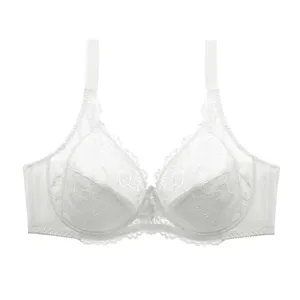 Plus size white lace ultra-thin bra with floral embroidery and supportive wide straps.