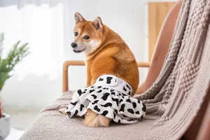 Dog physiological pants female pet diaper skirt cute cow print washable breathable sanitary shorts
