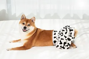 Detail shot of cute pet sanitary pants in cow print, soft polyester fabric for female dogs.