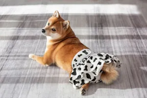 Detail view of cow print dog sanitary pants, soft polyester fabric, leak-proof design.