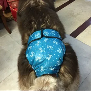 Dettaglio della scena di un grosso cane che indossa pantaloni igienici blu a pois.