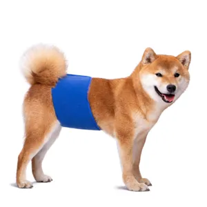 Male dog belly band washable pet sanitary diaper wrap product detail presentation