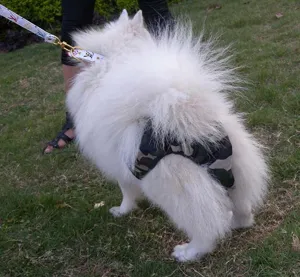 Grande cane pantaloni fisiologici mimetici pannolino per animali domestici femmine