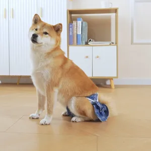 Honden fysiologische broek scène detail toont een schattige Shiba Inu met denim luier.