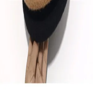 Wool blend bucket hat detail close up, black and camel two tone winter headwear accessory.