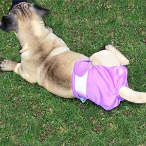 Comfortabele paarse huisdier hond luier sanitaire broek voor teefjes gazon hoofdaanzicht.