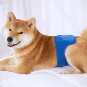 Comfortable blue dog belly band male wrap for pet daily care and training use detail view.