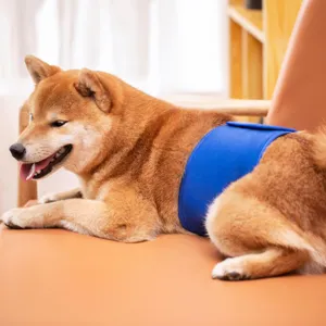 Pet dog belly band male dog physiological pants breathable adjustable diaper wrap for pets.