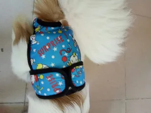 Vista dettagliata dei pantaloni fisiologici per cani grandi con stampa di stelle.