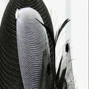 Elegant black women dome hat with white mesh and feather decoration, chic britain style detail.