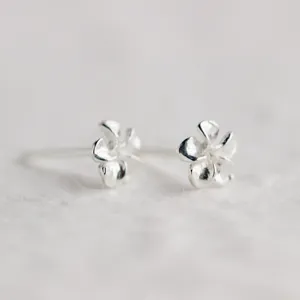925 Sterlingsilber Blume Ohrstecker Süße Zierliche Fünfblättrige Plumeria Stecker Für Damen Minimalistischer Schmuck Geschenk