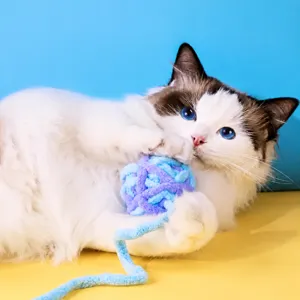 Kuscheliges Katzen-Garnball-Spielzeug beissfest interatives Haustierspielzeug fuer kleine Katze