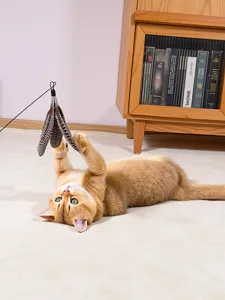 Feder-Katzenspielzeug Stab mit Ersatzkopf fuer verspielte Katzen, interaktives Tool.