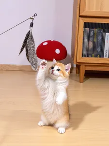 Detailansicht des interaktiven Katzen-Spielzeugs mit natürlicher Feder und Stiel im Zimmer.