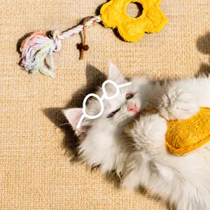 Natural loofah cat chew toy for teeth cleaning and interactive play, cute white kitten.