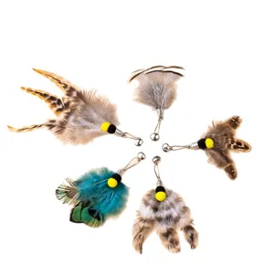 Katzenspielzeug Federn Ersatzkopf Set, bunte interaktive Reizangel Aufsätze für Katzen.