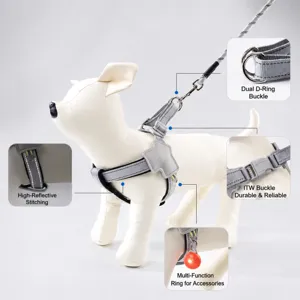 Detail view of pet dog harness showing durable buckles, D-rings, and reflective safety threads.