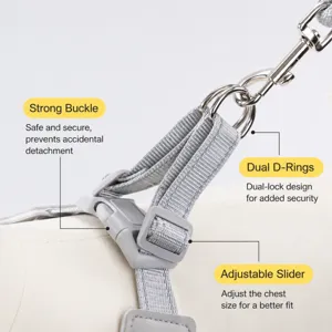 Detailed view of adjustable dog harness buckle, secure dual rings, and durable gray straps.
