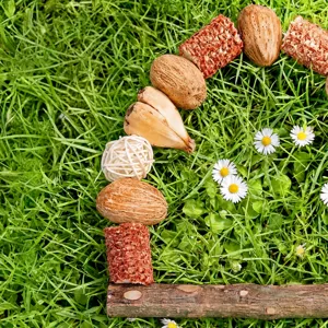 Giocattolo da masticare in legno naturale per pappagalli, decorazione per gabbia e cura del becco.