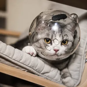 Transparent cat astronaut helmet pet anti-biting and anti-licking breathable hood for grooming