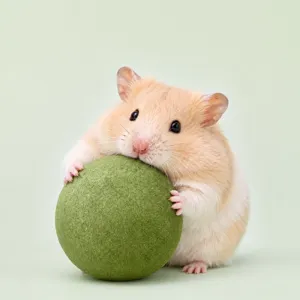 Hamster grass ball chewing toy molar teeth grinding pet supplies for small animals playing