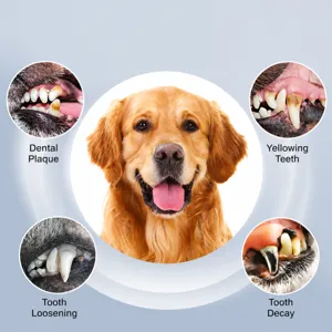 Professional dog teeth cleaning tool pet dental care tartar plaque remover oral hygiene set