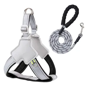Grey dog harness and leash set, reflective pet vest for small and medium dogs walking safely.