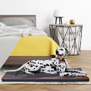 Square waterproof oxford cloth pet mat dog bed with orange trim for summer resting.