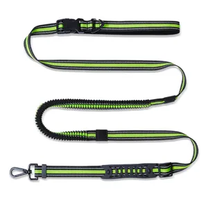 Laisse pour chien réfléchissante pour course et promenade extérieure avec cordon élastique solide