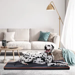 Modern living room pet mat detail, dark grey oxford dog bed with orange piping design.