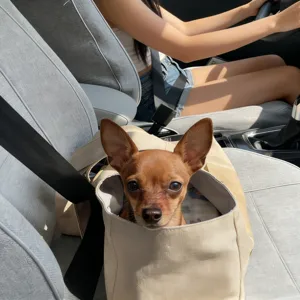 Detailed view of breathable portable pet carrier bag for small dogs and cats, ideal for travel.