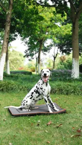 Detail shot of a waterproof oxford cloth square pet mat for dogs and cats, durable outdoor use.