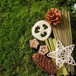 Set de juguetes para masticar de loro, lufa de pájaro estrella de ratán piña.