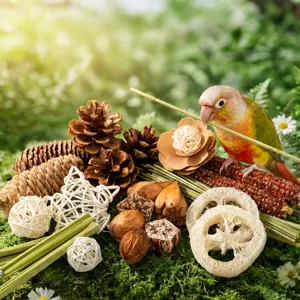 Juguete de madera natural para masticar loros y periquitos, accesorio para jaula de aves.