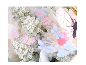 Detailed closeup of transparent PET butterfly washi tape for journaling and crafts.