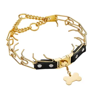 Stainless steel gold dog prong training collar with black leather accent and bone charm.