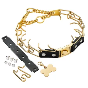Stainless steel dog training pinch collar detail view with extra links and bone tag.