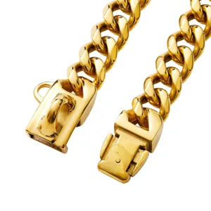 Heavy duty gold stainless steel pet dog chain collar detail closeup with secure buckle