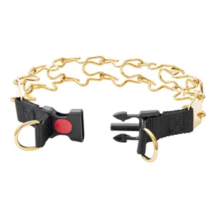 Detailansicht des goldenen Hunde-Stachelhalsbandes mit schwarzem Nylonriemen und Schnalle.