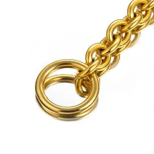 Nahaufnahme Detail der goldenen Edelstahl Haustier Hundekette O-Ring Trainingshalsband.
