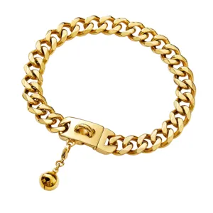 Detailaufnahme eines goldfarbenen, schweren Kuban-Ketten-Hundehalsbandes mit sicherem Metallverschluss.